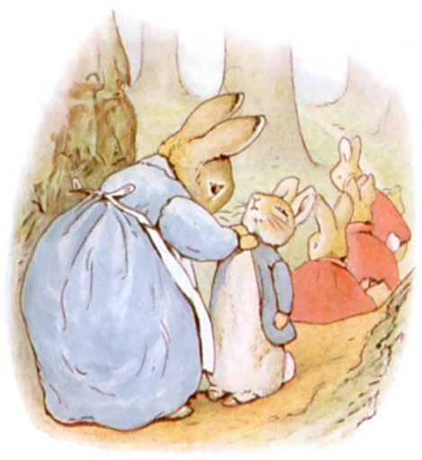 Mrs Josephine Rabbit   The Tale of Peter Rabbit by Beatrix Potter