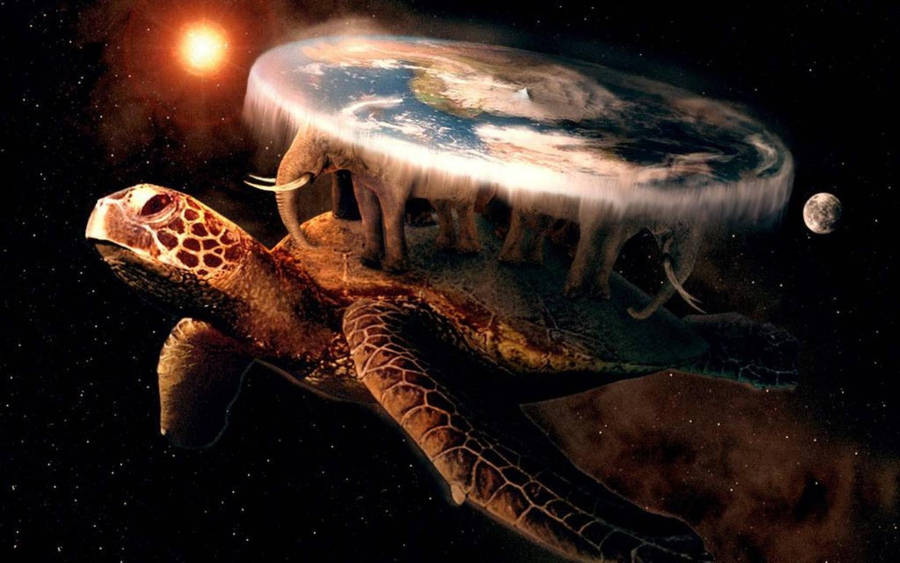 Cool Turtle And Flat Earth Wallpaper