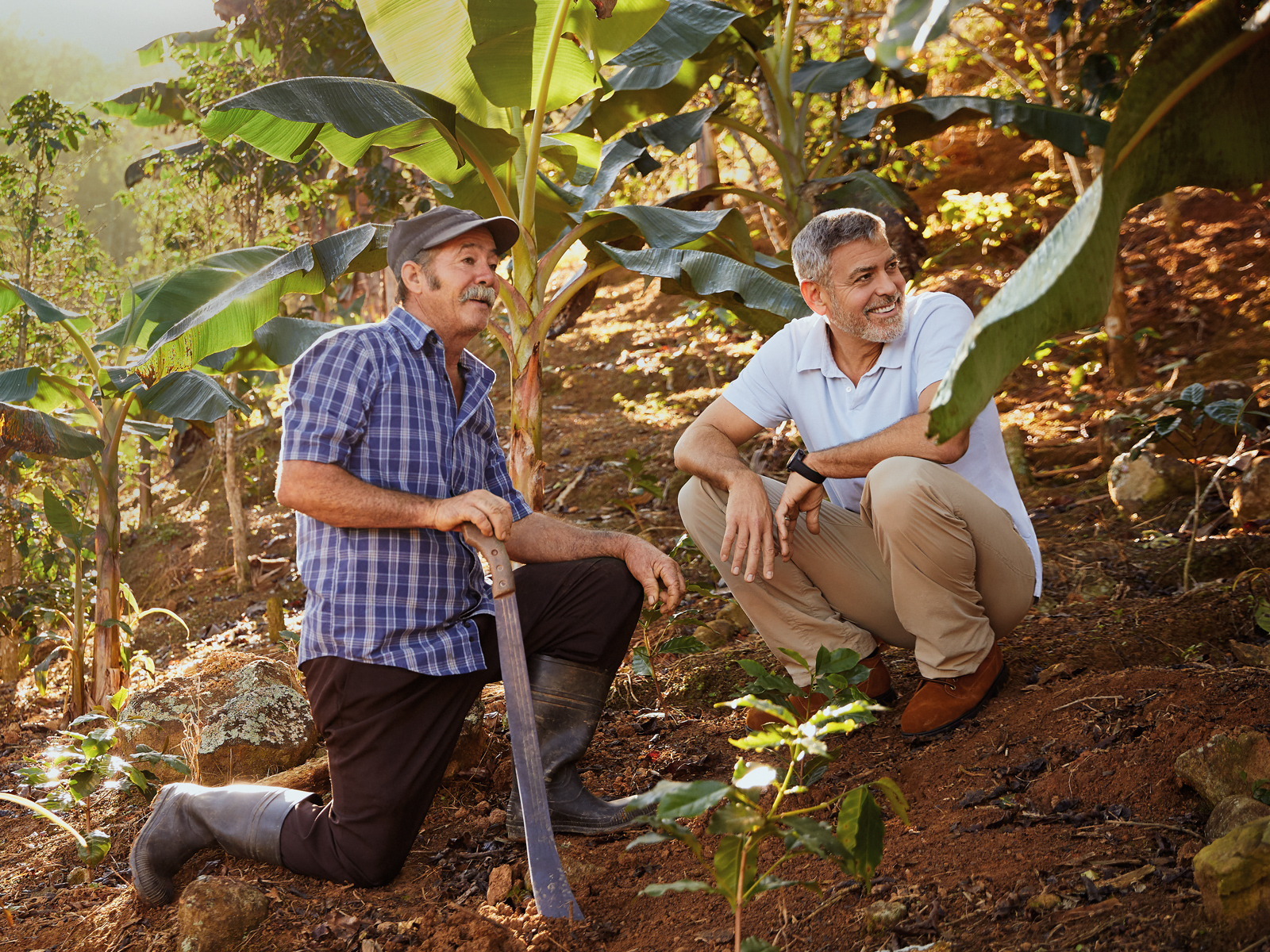 Watch George Clooney Visits Puerto Rico S Coffee Growers With