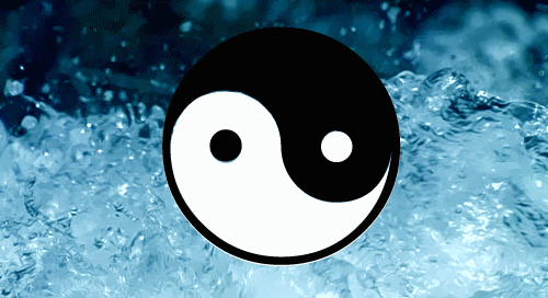 yin yang gif