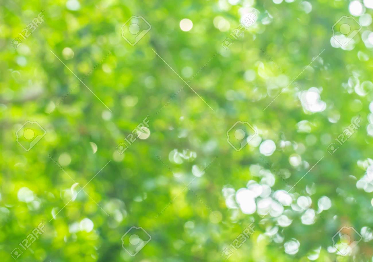 Abstract Blurred Bokeh Nature Background Stock Photo Picture And