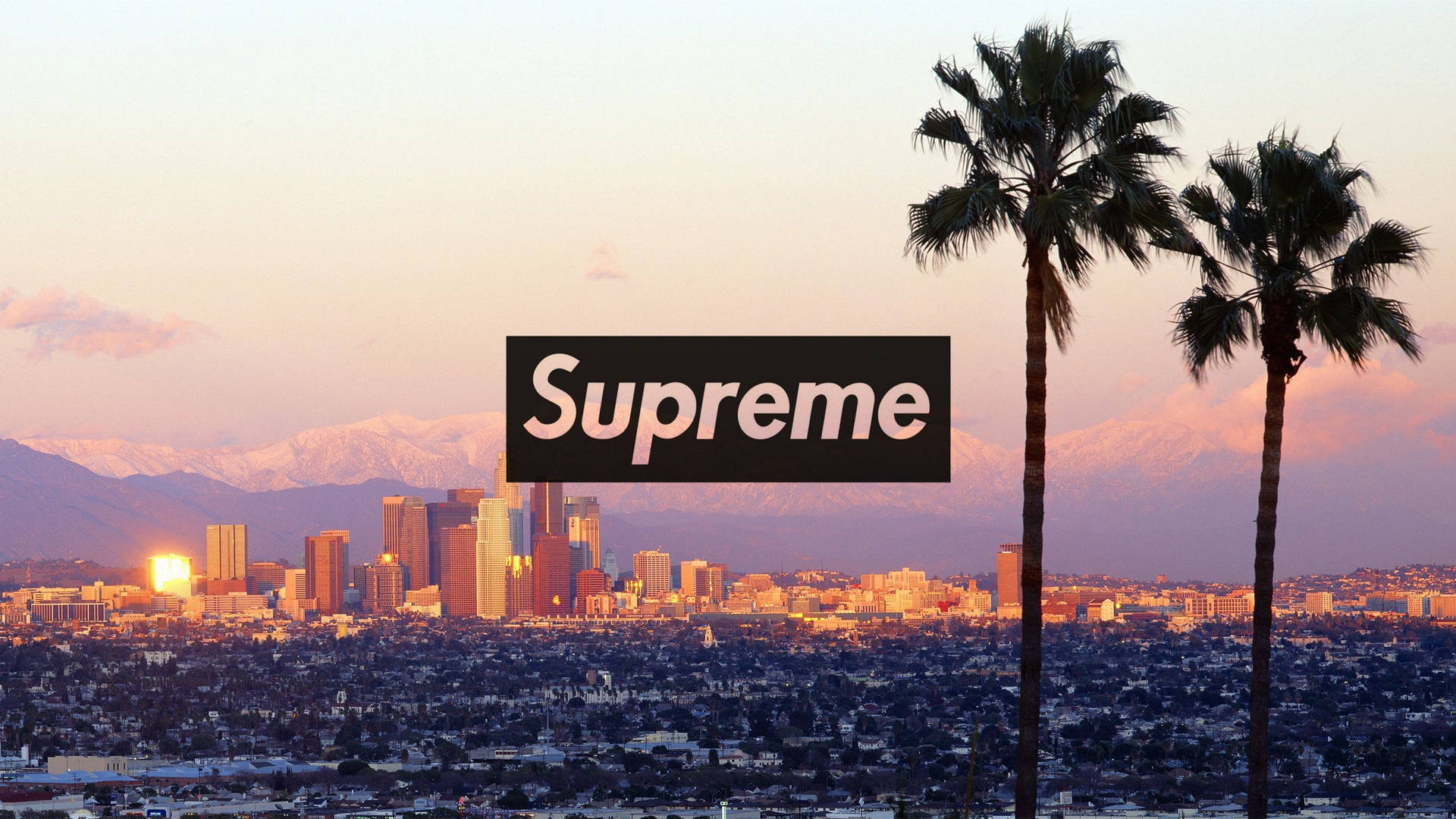 Top Cool Supreme Wallpaper Full HD 4k To Use