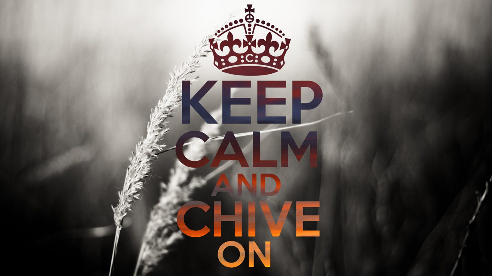 The Chive Logo Wallpaper Black And