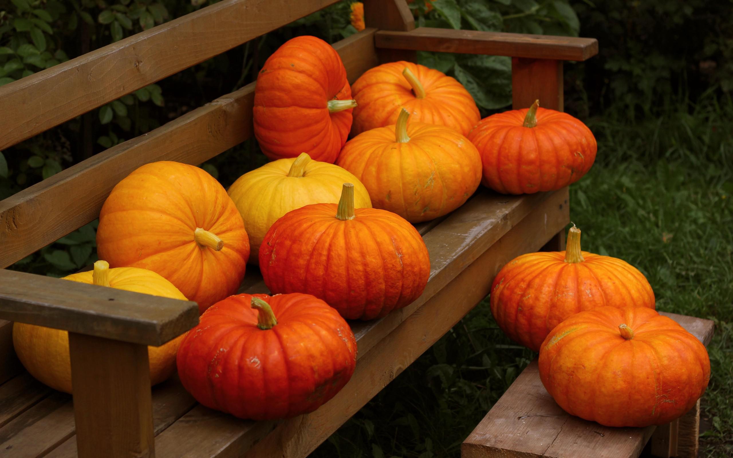 Pumpkin Autumn Harvest High Quality And Resolution