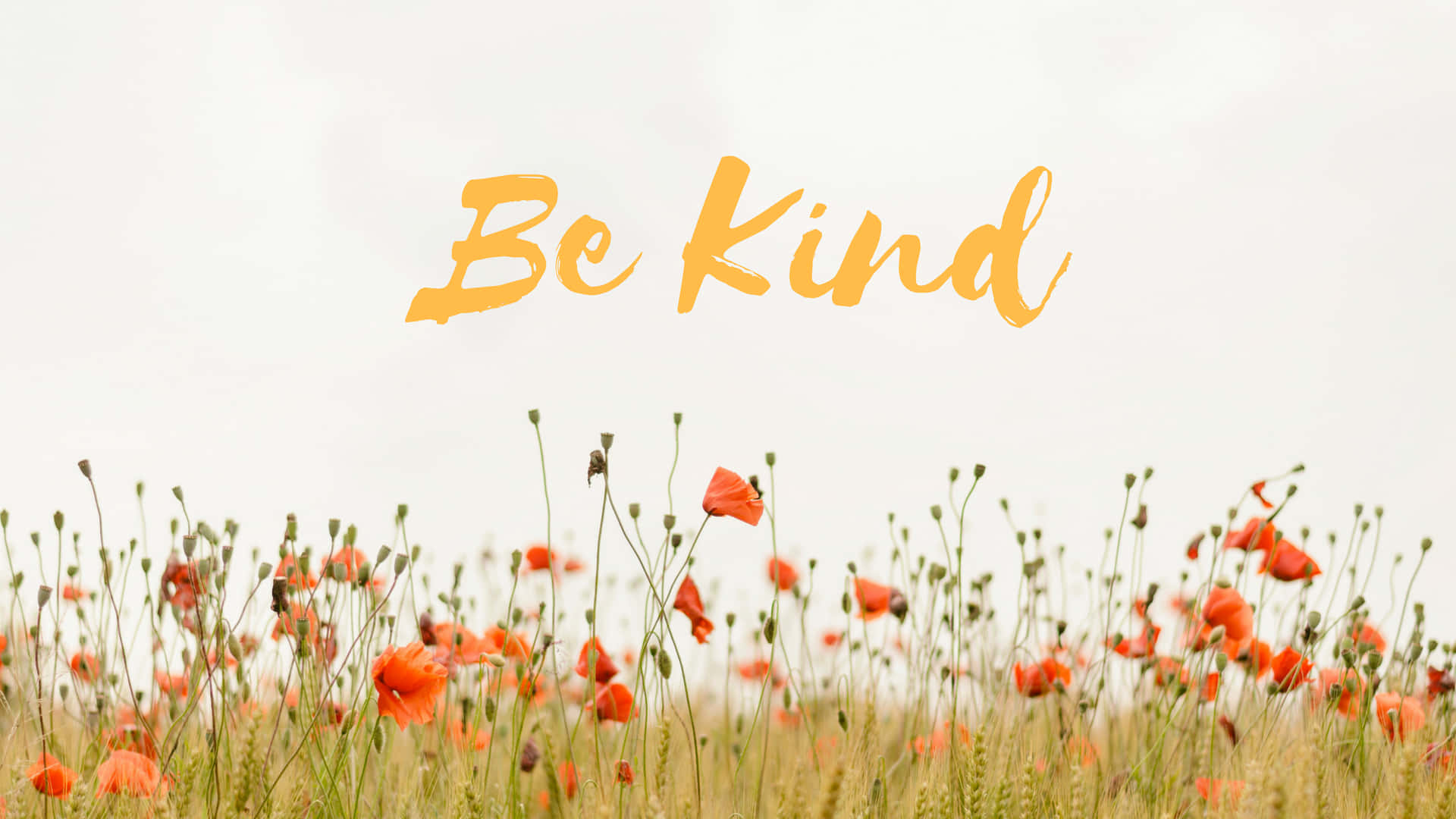 Be Kind Wallpaper
