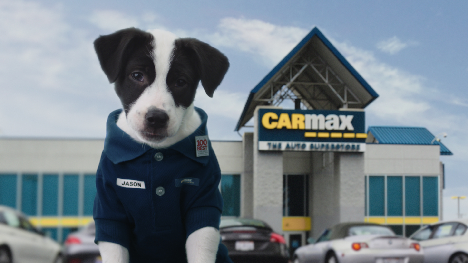 Carmax Sends Its Creative Account To The Martin Agency Sekere News
