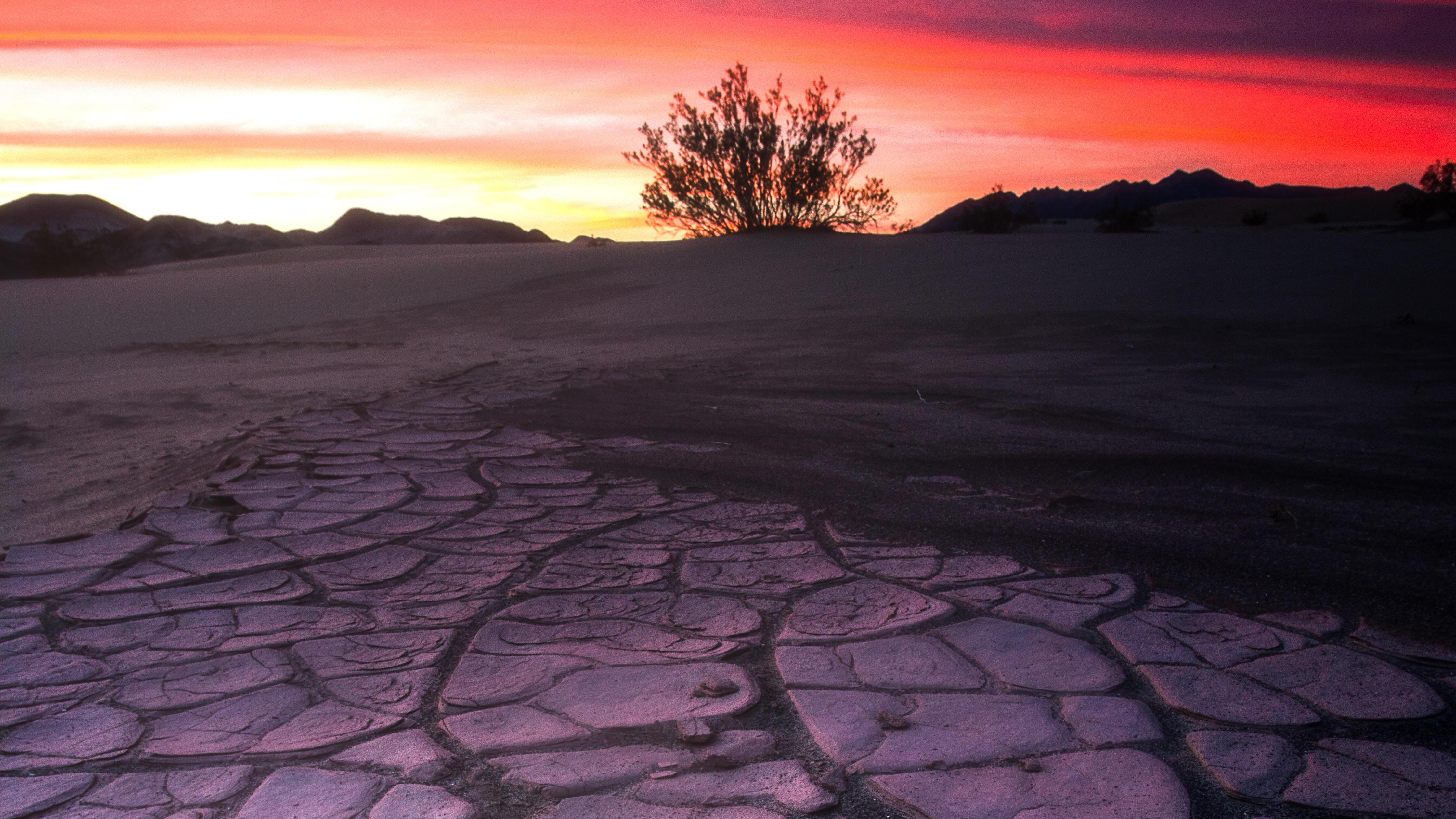 Death Valley Mud Crack Lone Tree 4k Wallpaper HD Nature