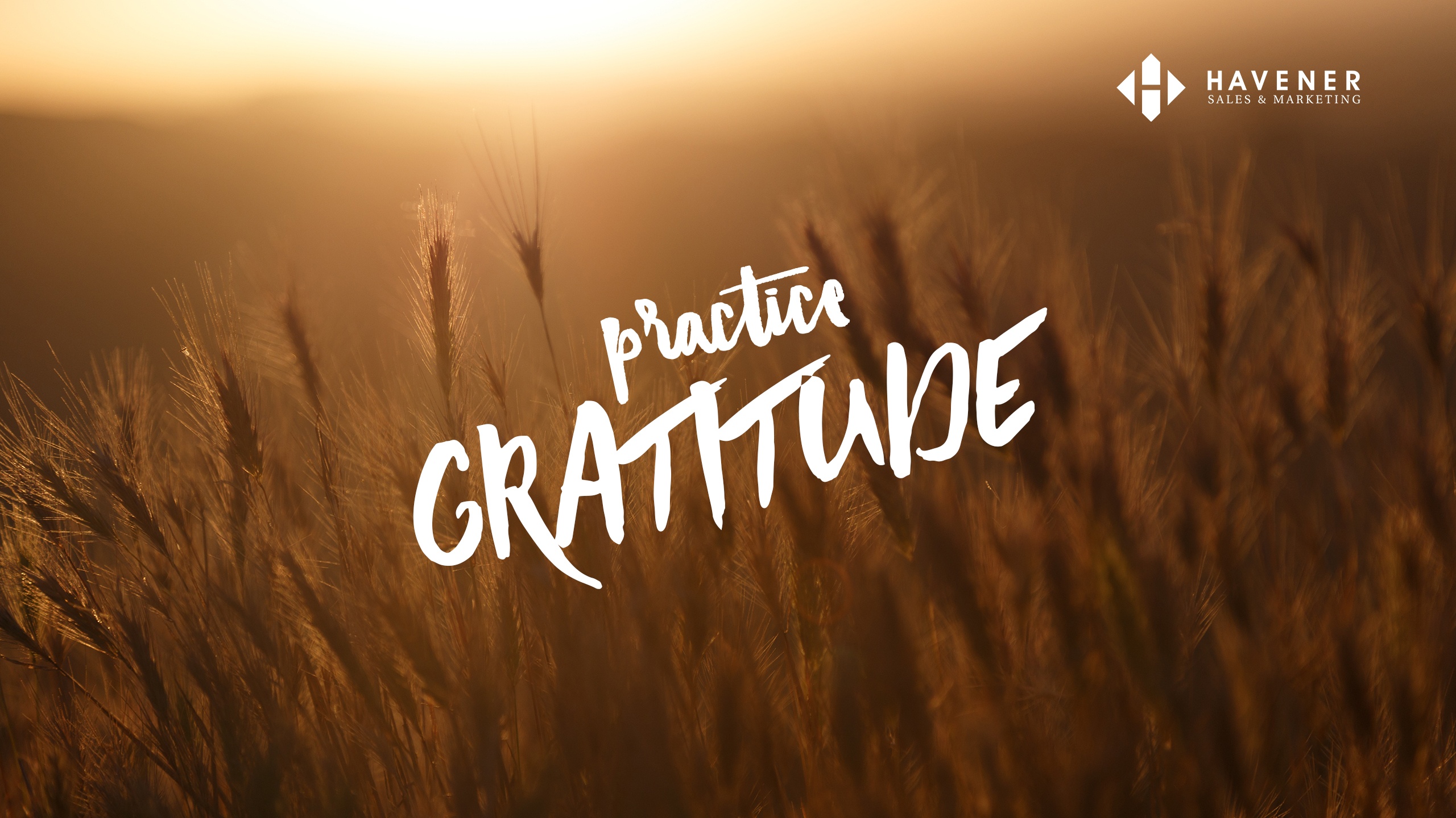 November S Desktop Wallpaper How Gratitude Helps To Achieve Goals