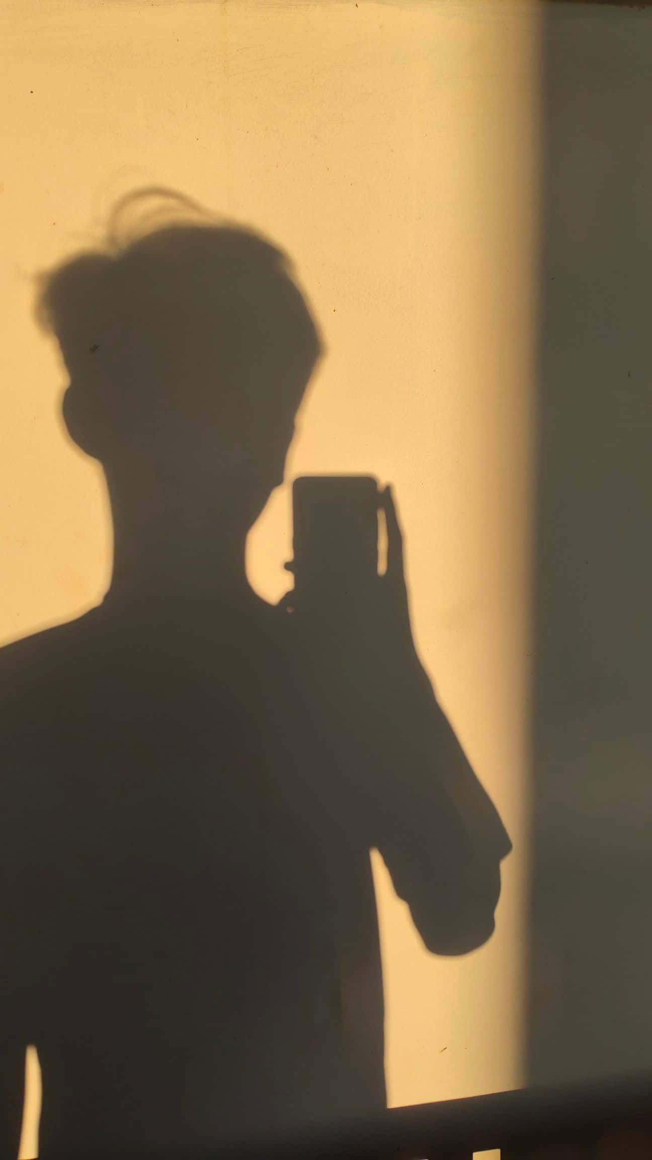 Teenage Boy Shadow Pfp Wallpaper