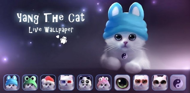 Android Live Wallpaper Yang The Cat Sweet Little Kitten