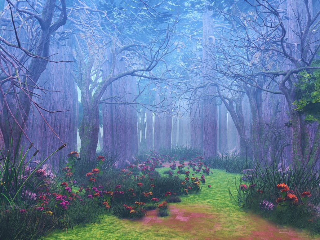 Magic Forest Wallpapers HD Backgrounds Images Pics Photos Free
