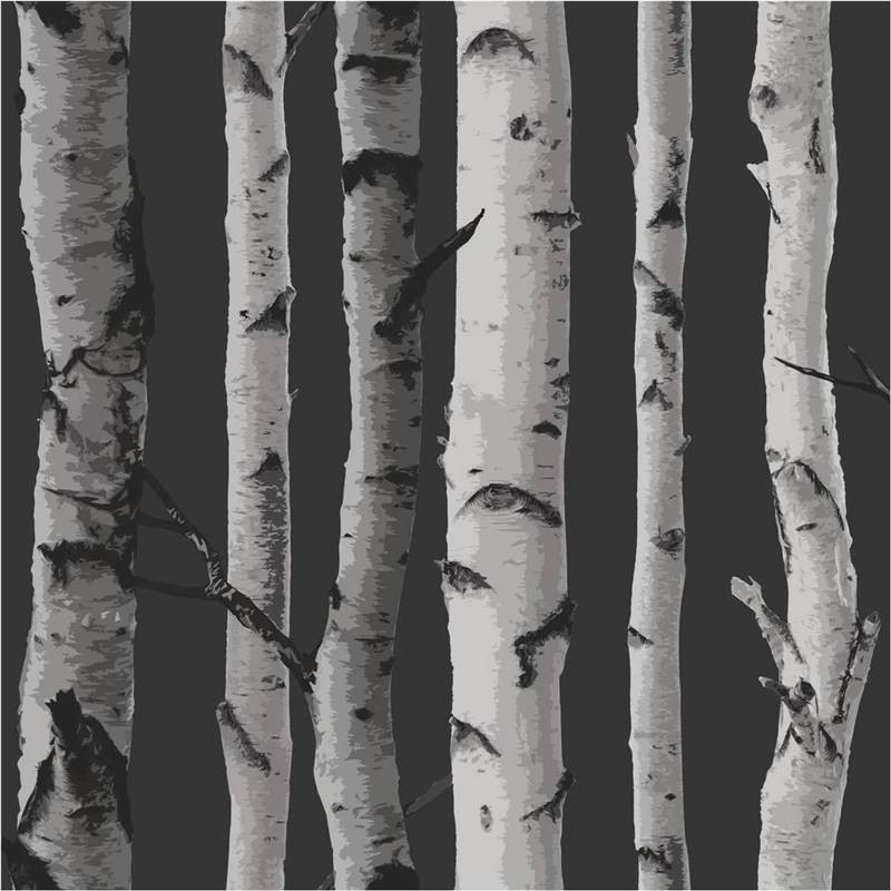 Decor Supplies Black Grey Silver Fd31052 Birch Tree Forest