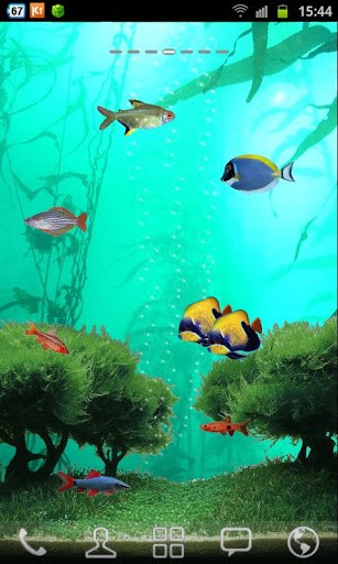 Free Animated Fish Tank Wallpaper
