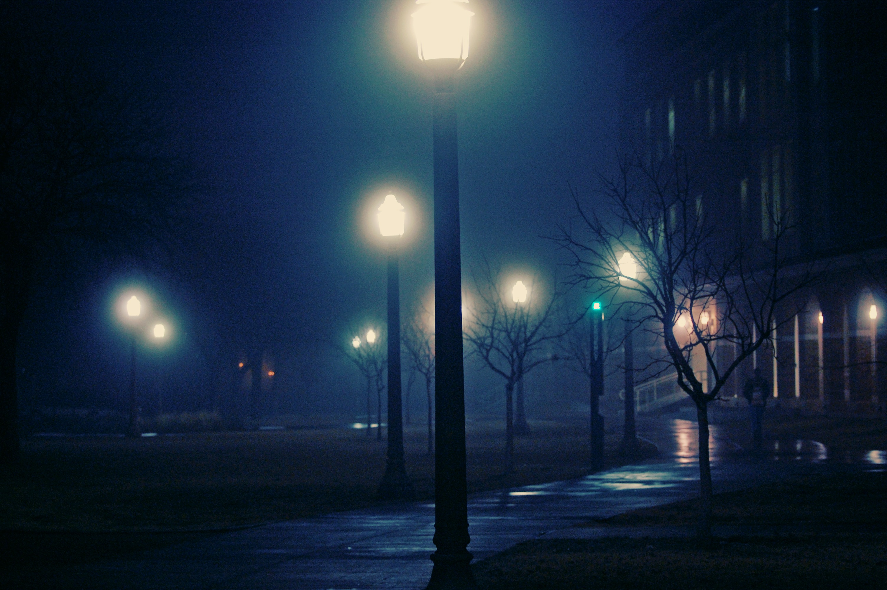 City Night Fog Lights Foggy Wallpaper