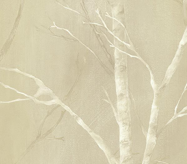 Beige Birch Trees Wallpaper Traditional
