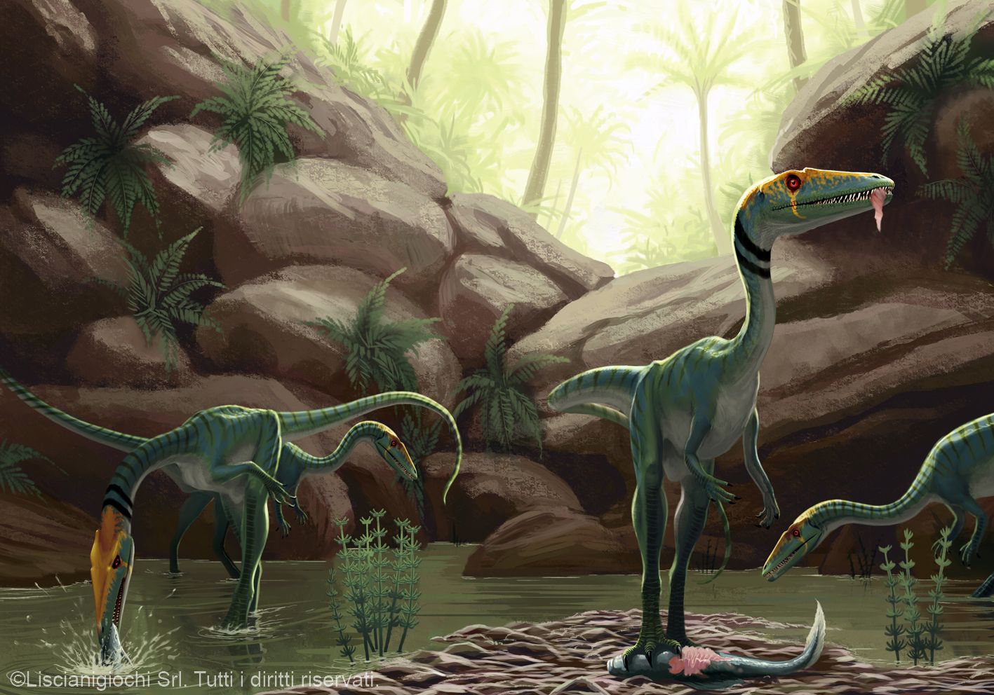 Coelophysis Bauri By Akeiron Dinosaur Artwork