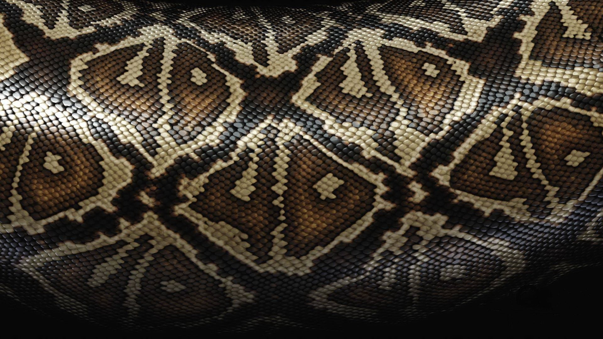 Snakes Skin Wallpaper