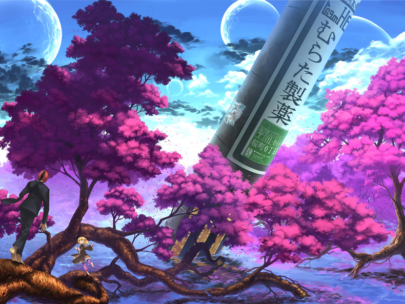 Cherry Blossom Wallpaper Anime