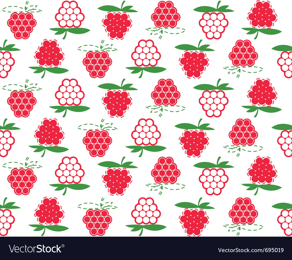 Raspberry Background Royalty Vector Image