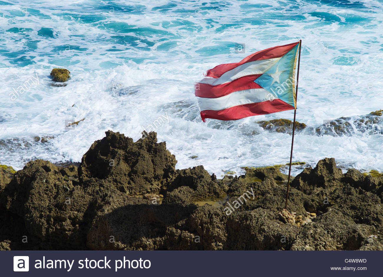 Puerto Rico Old San Juan Rican Flag On Rock With Sea In