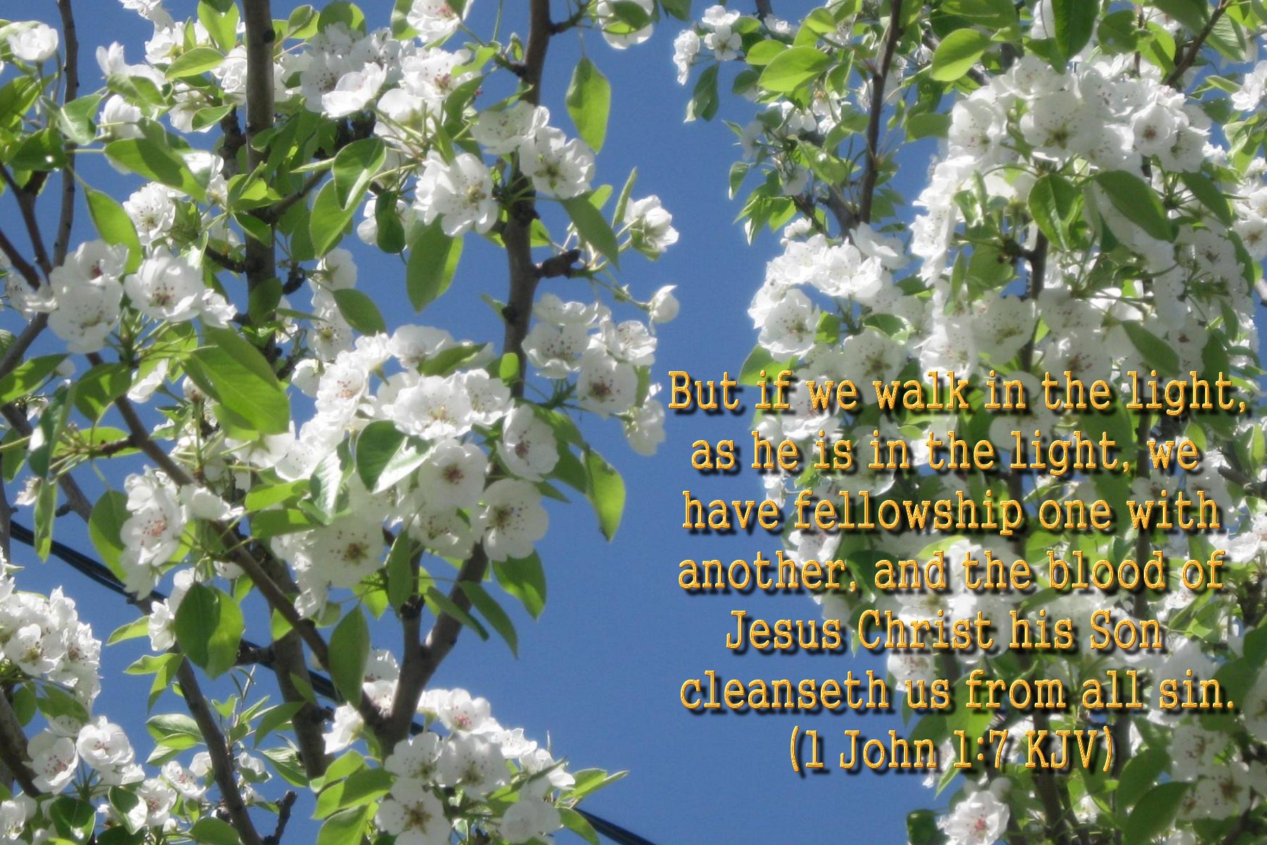 48-spring-wallpaper-with-bible-verses-wallpapersafari