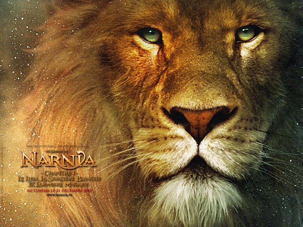 Le Monde De Narnia Lion Aslan Wallpaper W3 Directory