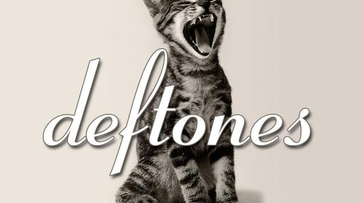 Deftones Screaming Catkiiiiiiiityyyyyy Deftonescat Wallpaper