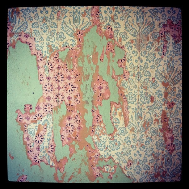 Peeling Wallpaper Photo By Mati Rose Beyond The Basics Summer