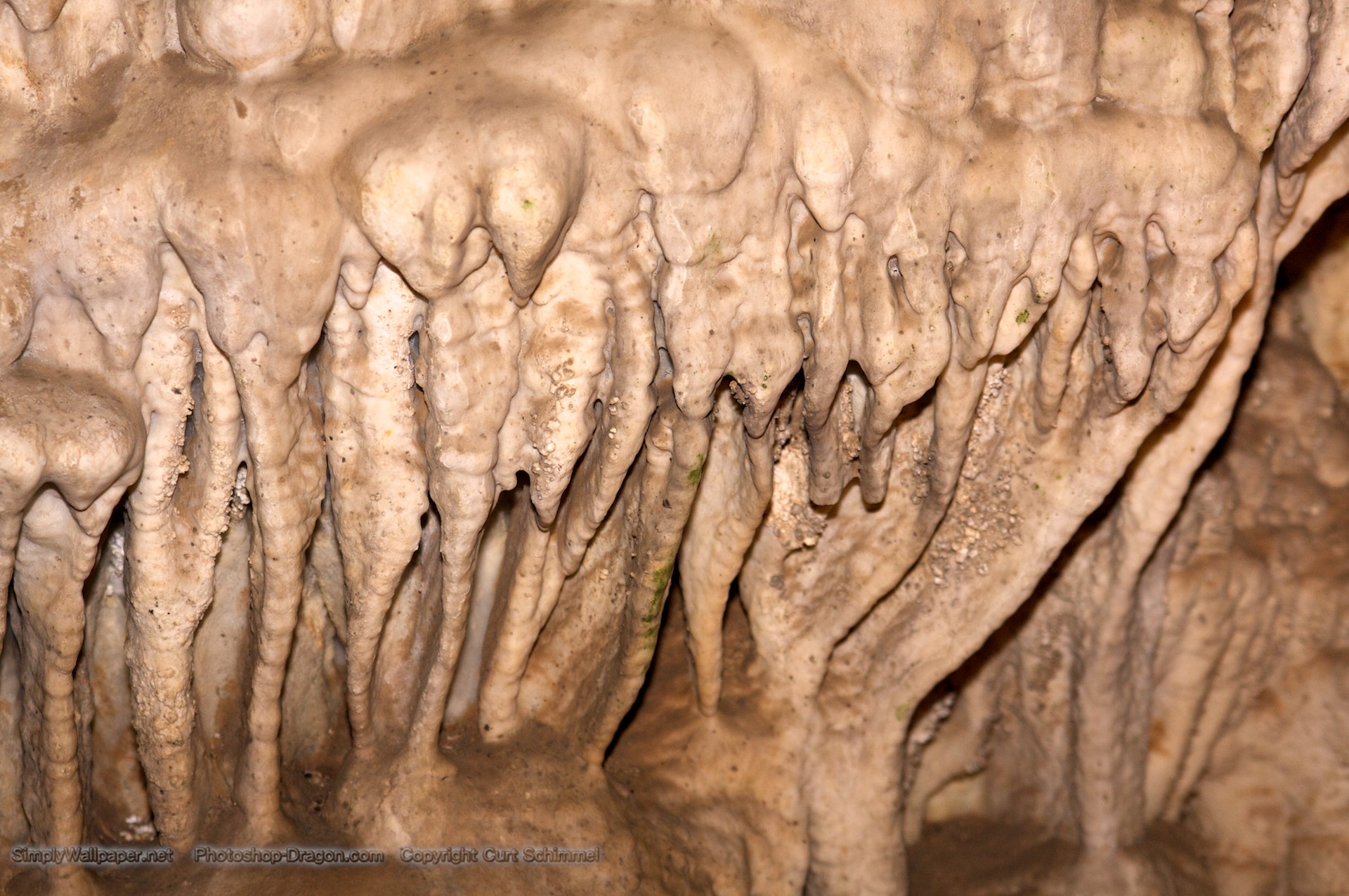 Cave Formations At Carlsbad Caverns Desktop Wallpaper