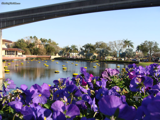 Epcot Wallpaper From The Flowers And Lake At In Florida
