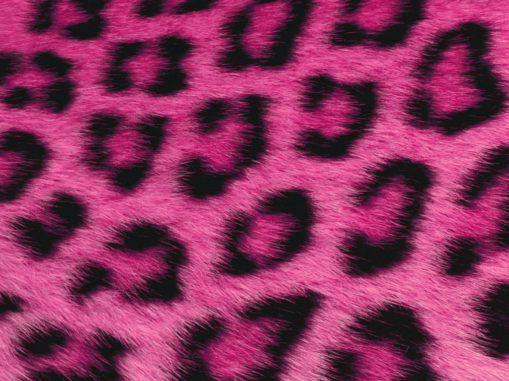47 Pink Fur Wallpaper For Bedrooms On Wallpapersafari Your rose fur rose textile stock images are ready. 47 pink fur wallpaper for bedrooms on