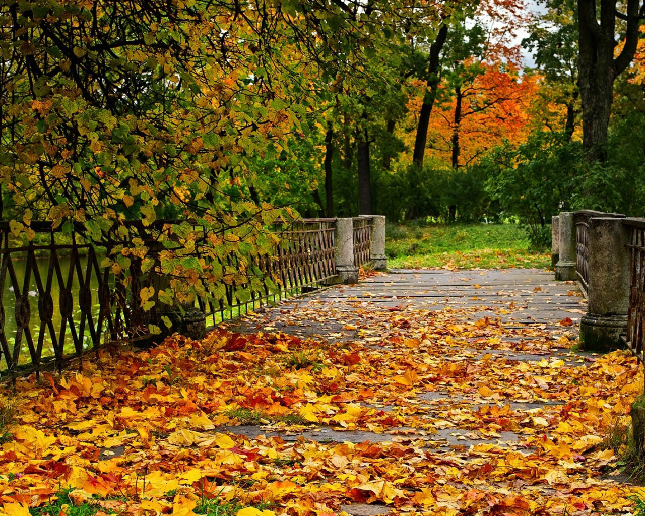 Fall Bridge Background Gallery Yopriceville   High Quality