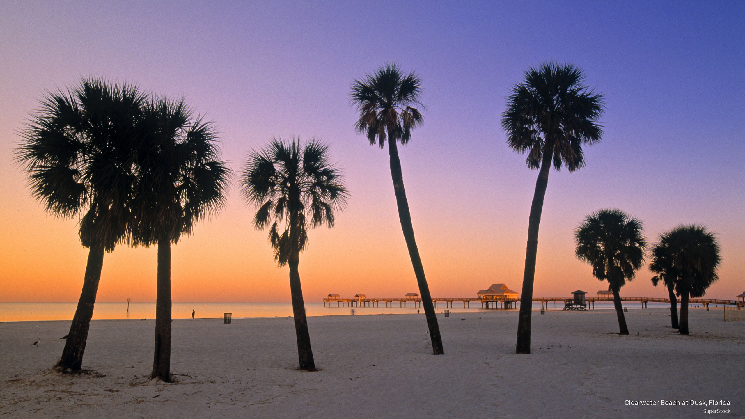 Clearwater Beach At Dusk Florida