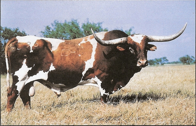 640px