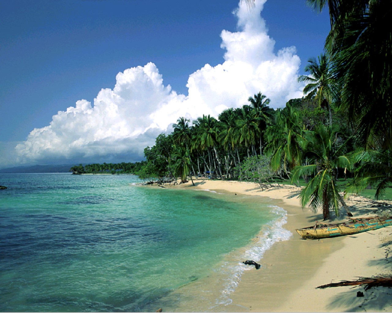 beach landscape image