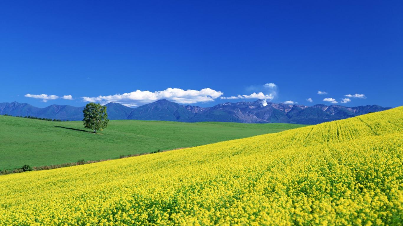 spring scenery background