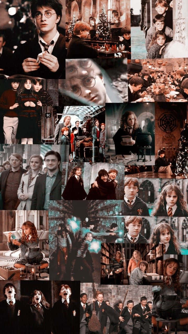 Harry Potter All Characters Wallpaper