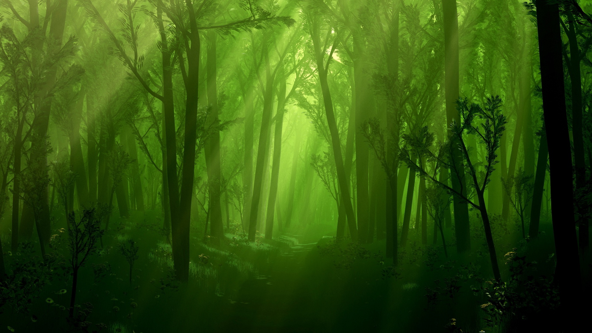 Awesome Dark Forest Wallpaper Px