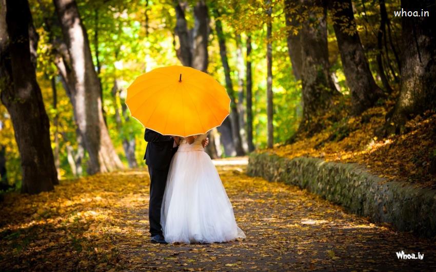 Married Couple Kissing In Yellow Umbrella HD Wallpaper