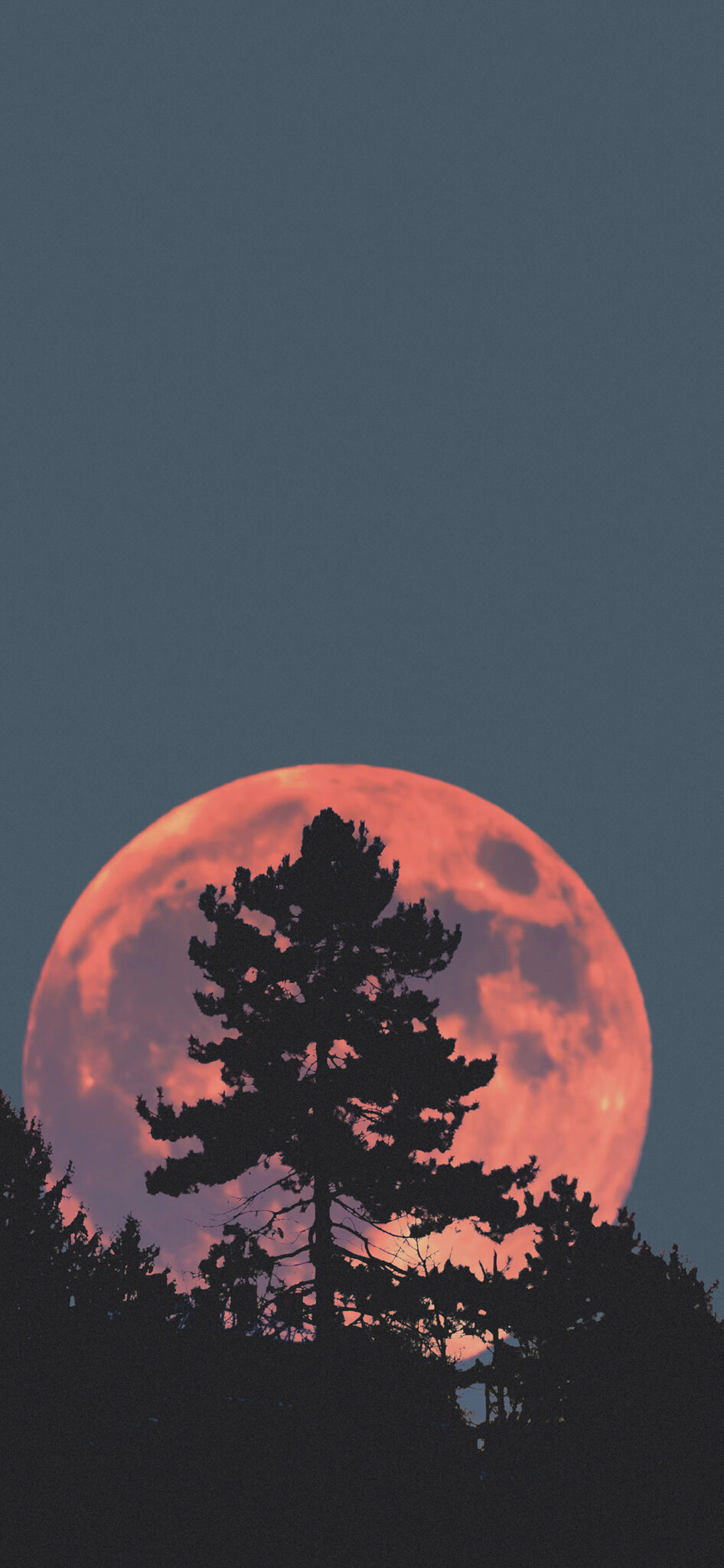 Best HD Moon Phone Wallpaper
