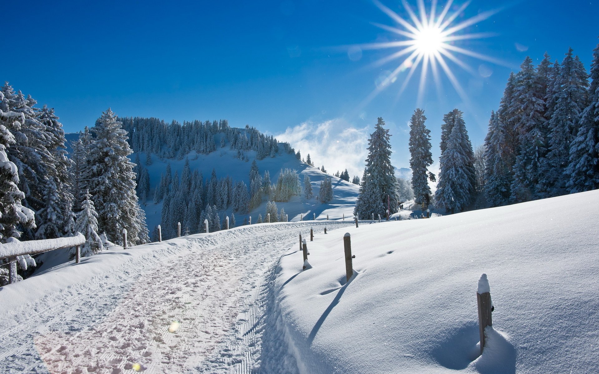 Winter Snow Road Hd Wallpaper Download wallpapers page 1920x1200