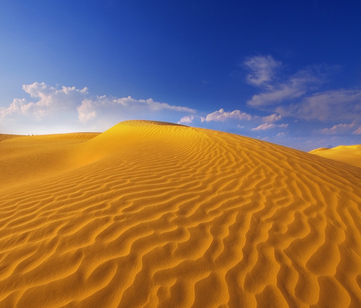 HD Wallpaper For Galaxy Tab