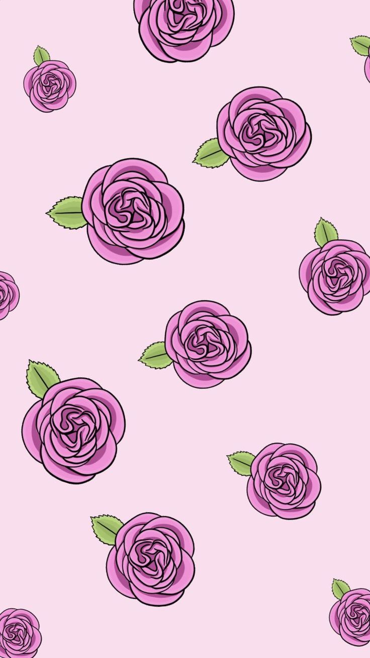 Cute Rose Background Wallpaper
