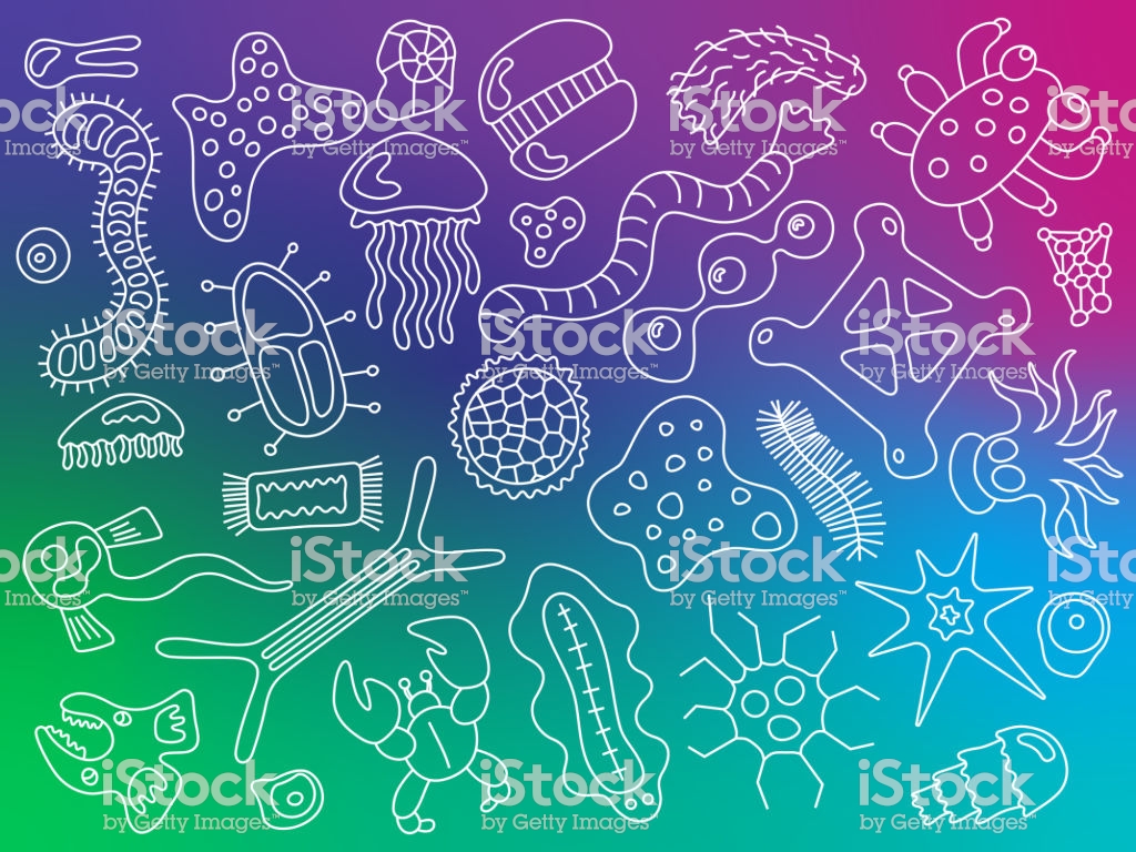 Various Microorganisms On Colorful Gradient Background Pattern