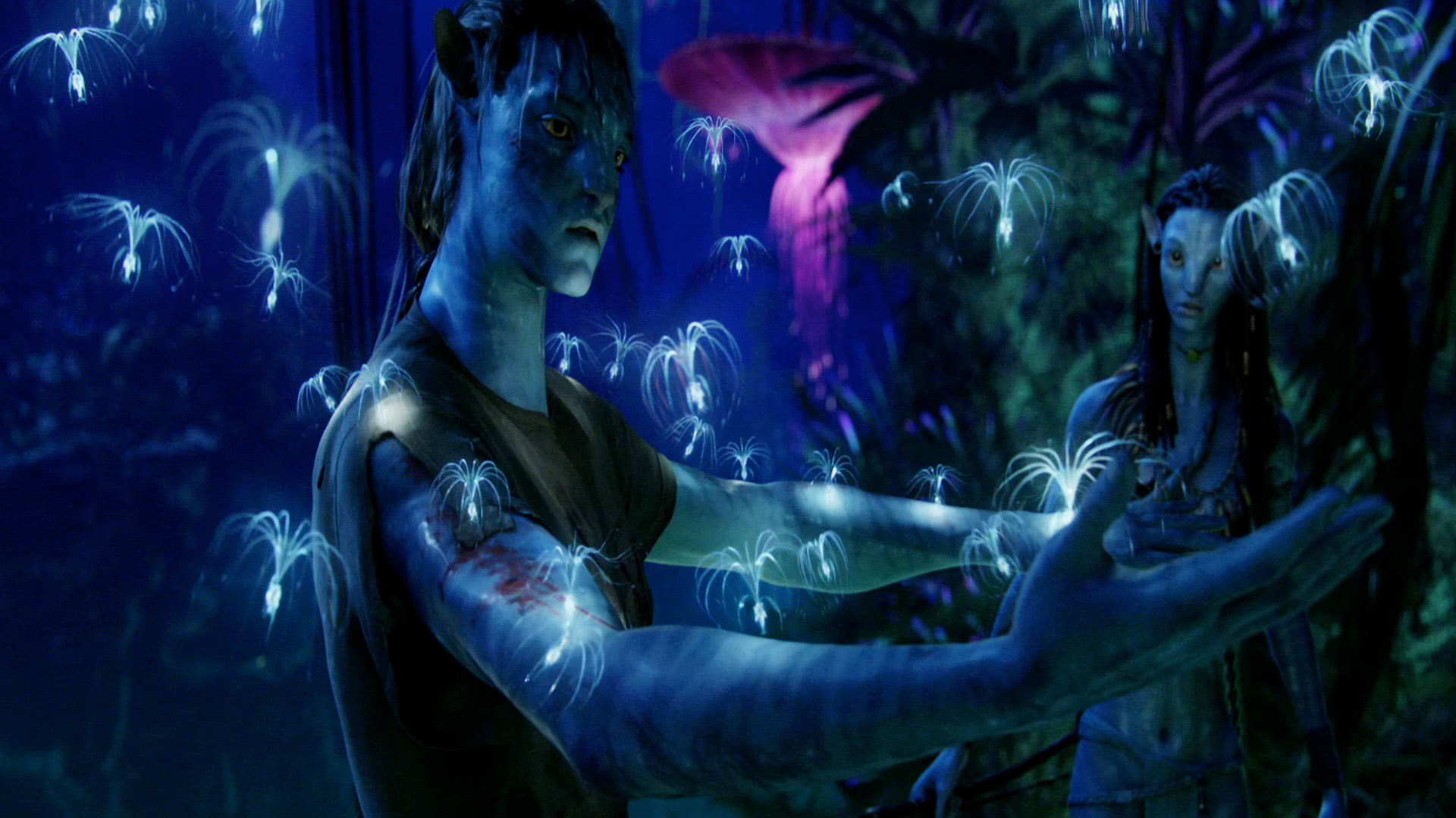 Avatar 3d Wallpaper
