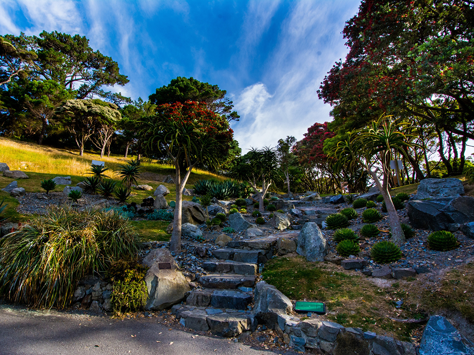 Image New Zealand Wellington Botanical Garden Nature