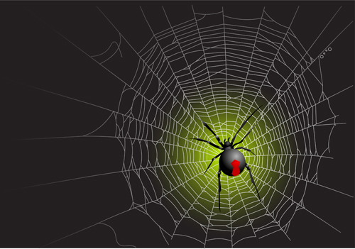 Vector Spider Web Design Background Graphics