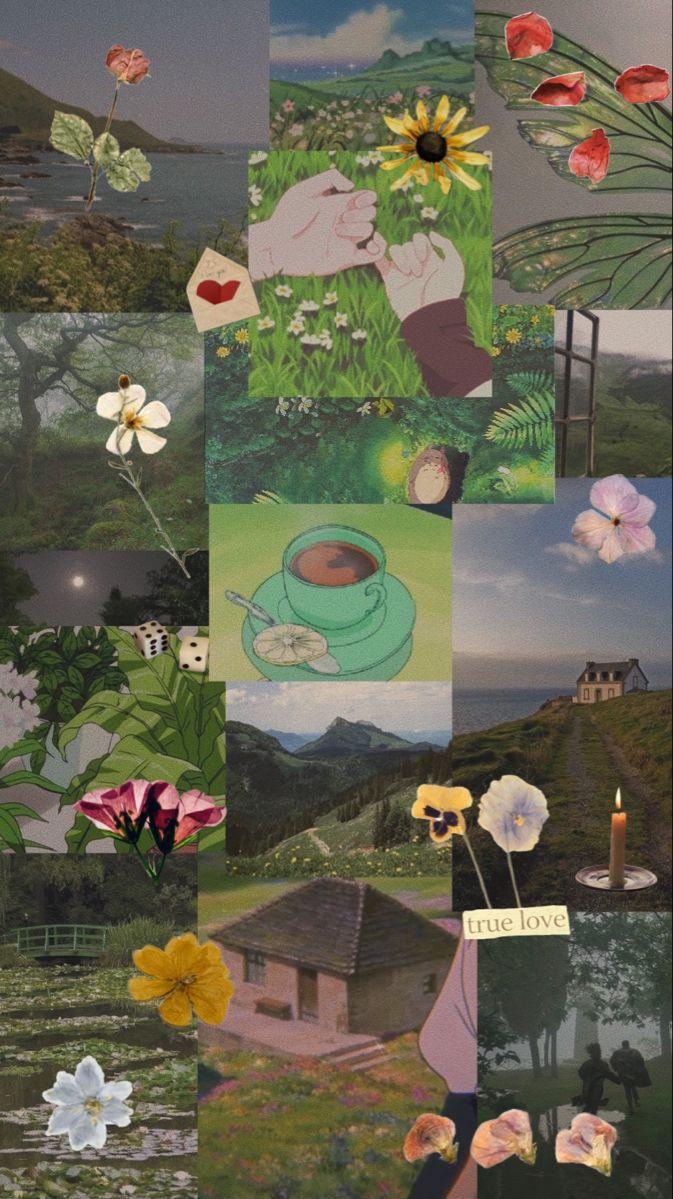 Green Aesthetic Wallpaper Cottagecore iPhone