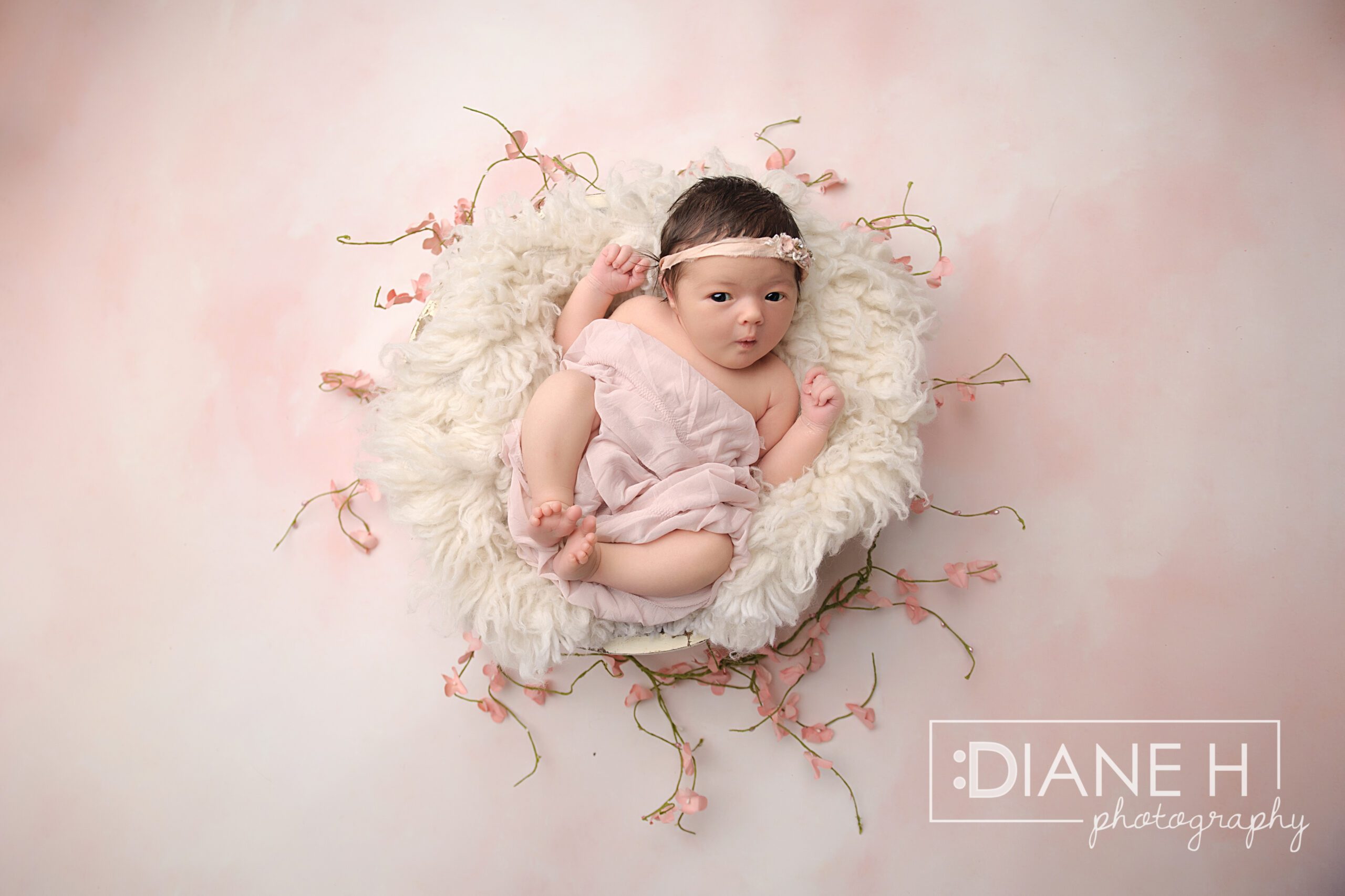Newborn Baby Girl Pink Flowers Basket Duluth Minnesota Scaled Wallpaper
