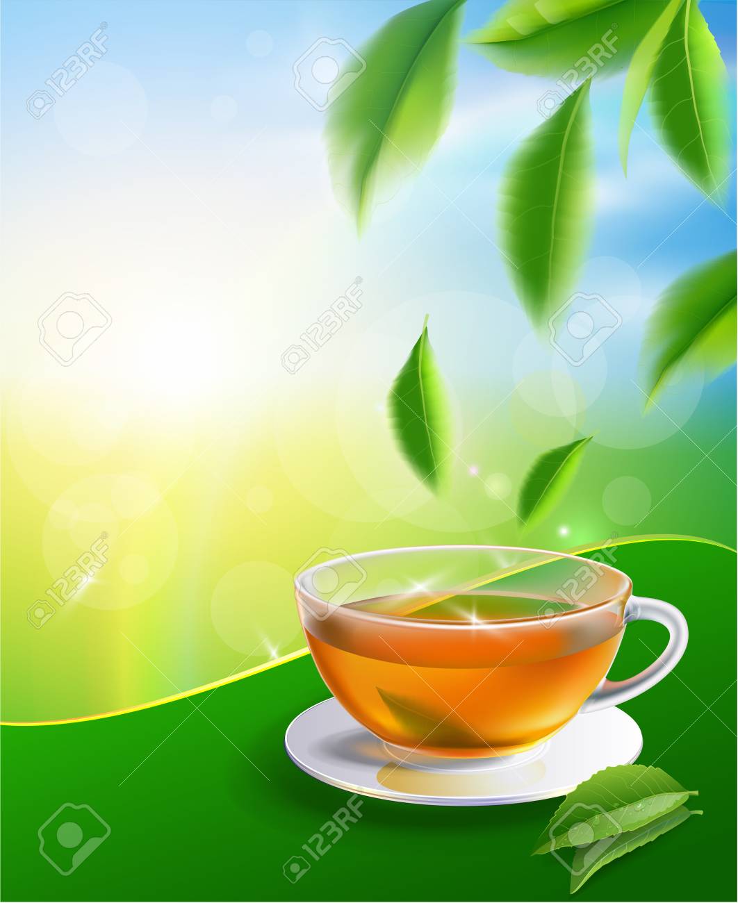 Black Tea Leaves Manu And Postcard Vector Nature Background
